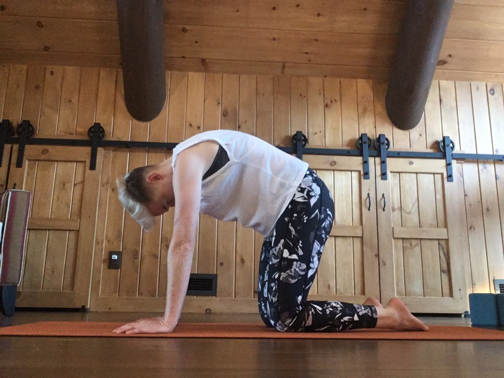 Mes 4 exercices de mobilité pour le dos – Partie&nbsp;1